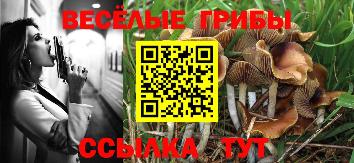 наркота  Галлюциногенные грибы Magic Shrooms  Вход с VPN  Лабинск  Псилоцибиновые грибы MAGIC MUSHROOMS 