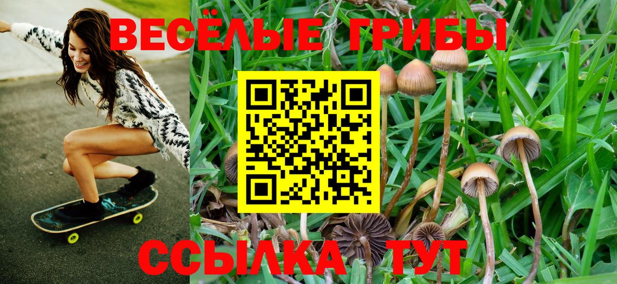 ГАШ  КОКАИН  ГАШ  Мефедрон кристаллы  ЭКСТАЗИ  Лабинск  APVP СОЛЬ   Вход с VPN 